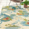 Reyn Spooner 5'2"x7' Kona Coast Fresco Lanai Flatweave Indoor Outdoor Accent Rug Blue - 3 of 4