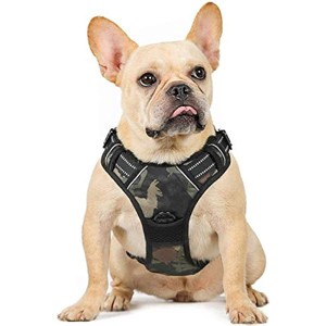 rabbitgoo Dog Harness No Pull for Large Dogs with 2 Leash Clips & Handle - Control Dog  Padded for Comfort (Military Style) - 1 of 1