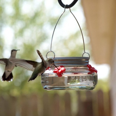 Clear Glass and Metal Hanging Hummingbird Feeder