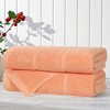 Smart Twist Viscose Cotton Blend Medium Weight Solid Ribbed Towel Set by Blue Nile Mills - 2 of 4