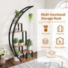 5 Tier Plant Stand, Half Moon Plant Shelf Ladder Flower Pot Stand Rack,Curved Flower Display Holder with Hanging,for Home Patio Lawn Garden Balcony - 3 of 4