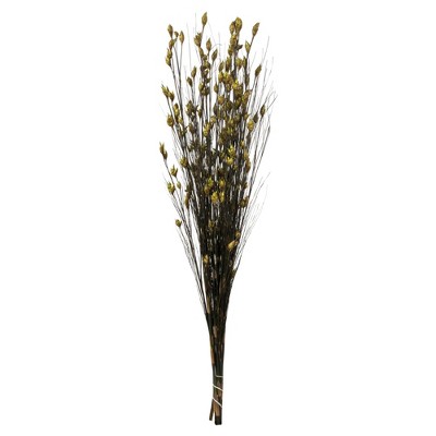 Vickerman 15-20" Natural Bell Grass with Seed Pods, Preserved