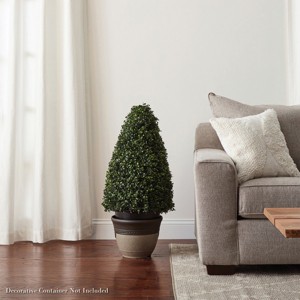 Pure Garden Indoor/Outdoor Artificial Boxwood Topiary - Faux Plant in Sturdy Pot - 1 of 4