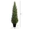 Nearly Natural 5-ft UV Resistant Artificial Boxwood Topiary Tree (Indoor/Outdoor) - 2 of 4