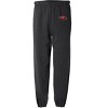 University Of The Incarnate Word Logovision Mens Primary Logo Jogger Sweatpants - 2 of 4