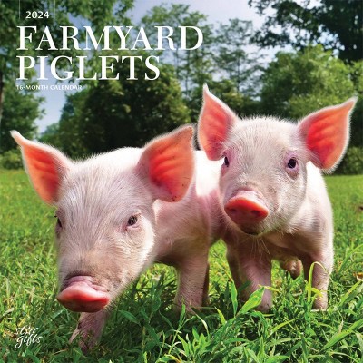 Stargifts 2024 Wall Calendar 12x12 Farmyard Piglets Target   GUEST 427451c0 Fcda 4f06 9085 D3fe65e84f88