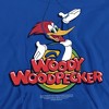 Woody Woodpecker Woody Adult Pull-Over Hoodie - 2 of 4