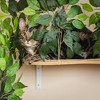 On2Pets Canopy Shelves Cat Beds - White - 4 of 4