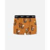 Deux par Deux Boy Printed Organic Cotton Boxer Shorts (Pack Of 3) Multicolored - 3 of 4