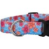 Country Brook Petz Deluxe Dog Collar - Made in The U.S.A. - Spring Collection - image 4 of 4