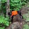 Guardian Gear Safety Vest Small Orange - 4 of 4