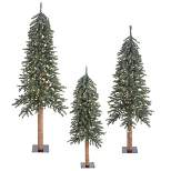 6ft Pre-Lit Natural Bark Artificial Tree 500 LED Warm White - Vickerman
