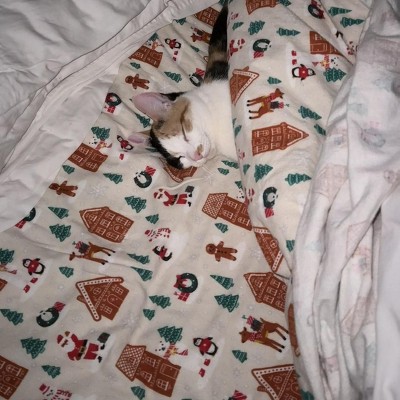 Guest review image 1 of 1, zoom in