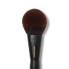 Sonia Kashuk™ Professional Pointed Powder Makeup Brush - No. 104 - 3 of 3