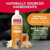 KONG Soothes Dry Skin Oatmeal Scented Dog Shampoo - 18 fl oz - 2 of 4