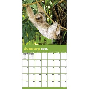TF Publishing 13.5"x14.5" 2026 Sloths Wall Calendar - 1 of 4