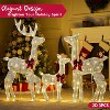 Joyfy 3 Pcs 2D Christmas Classic Reindeer Family Yard Light Decorations with 180 LED Warm White Lights for Xmas Indoor Outdoor Garden Holiday Decor - 4 of 4