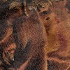Trick R Treat Poster Blanket 50"x60" Woven Tapestry - 4 of 4