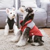 Touchdog (R) Furrost-Bite Fur and Fleece Designer Fashion Dog Jacket - 3 of 4