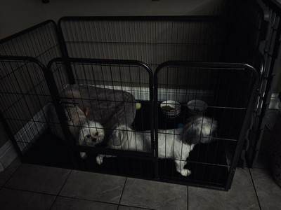 Dog pen cheap target