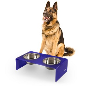 THE LICKER STORE Keaton Modern Acrylic Rectangular Elevated Pet Feeder - 1 of 4