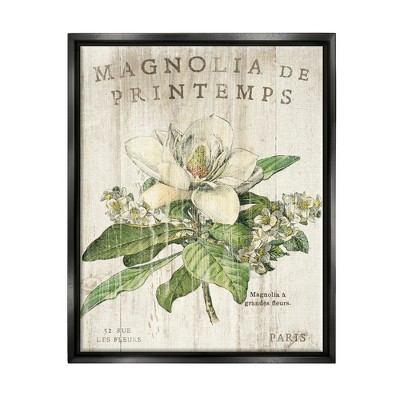 Stupell Industries French Magnolias In Spring