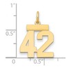Black Bow Jewelry 14k Yellow Gold, Athletic Collection, Small Polished Number 42 Pendant - 2 of 3