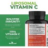 Forest Leaf Liposomal C 1000mg Capsules, Immune Booster with MCT Oil & Sunflower Lecithin, Superior Absorption - 120 Caps - 2 of 4
