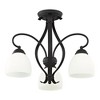 Livex Lighting Brookside 3 - Light Chandelier in  Black - 3 of 4