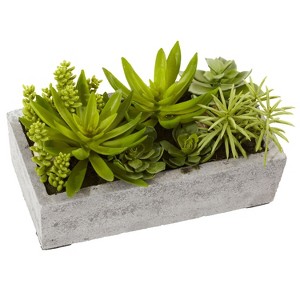 Succulent Garden Decor - Antique Style Planter with Live Plants - Home Office Shelf Decor - 1 of 4