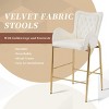 28.75" Counter Height Bar Stools Set of 2 Bar Height Arm Chairs, Velvet Bar Stools with Golden Legs and Footrests for Kitchen Island-Tanpinhause - 3 of 4