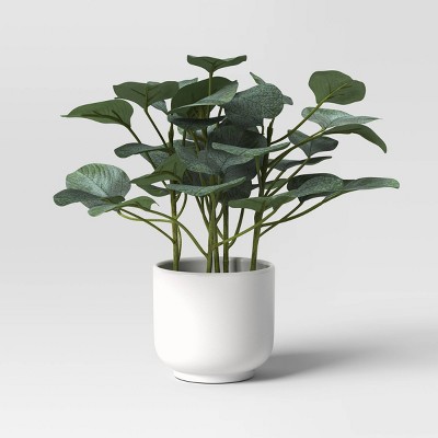 Artificial Eucalyptus Plant - Threshold™: Indoor Greenery Decor, 10" Tall, White Pot, 1 of 6