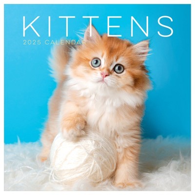 TF Publishing 2025 Wall Calendar 12"x12" Kittens