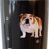 E & S Imports 7.0 Inch Bulldog Serengeti Tumbler Hot Or Cold Beverages Tumblers - 3 of 3