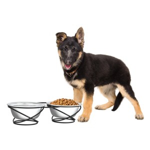 Set of 2 Elevated Dog Bowls - Stainless-Steel 40-Ounce Food and Water Bowls for Dogs and Cats in a Raised 3.5-Inch-Tall Decorative Stand by PETMAKER - 1 of 4