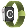 Waloo Magnetic Mesh Band For Apple Watch Series 10/9/8/7/6/5/4/3/2/1/SE/Ultra - 2 of 3