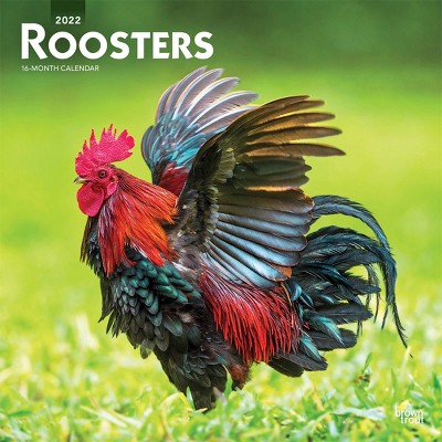 2022 Square Calendar Roosters - BrownTrout Publishers Inc