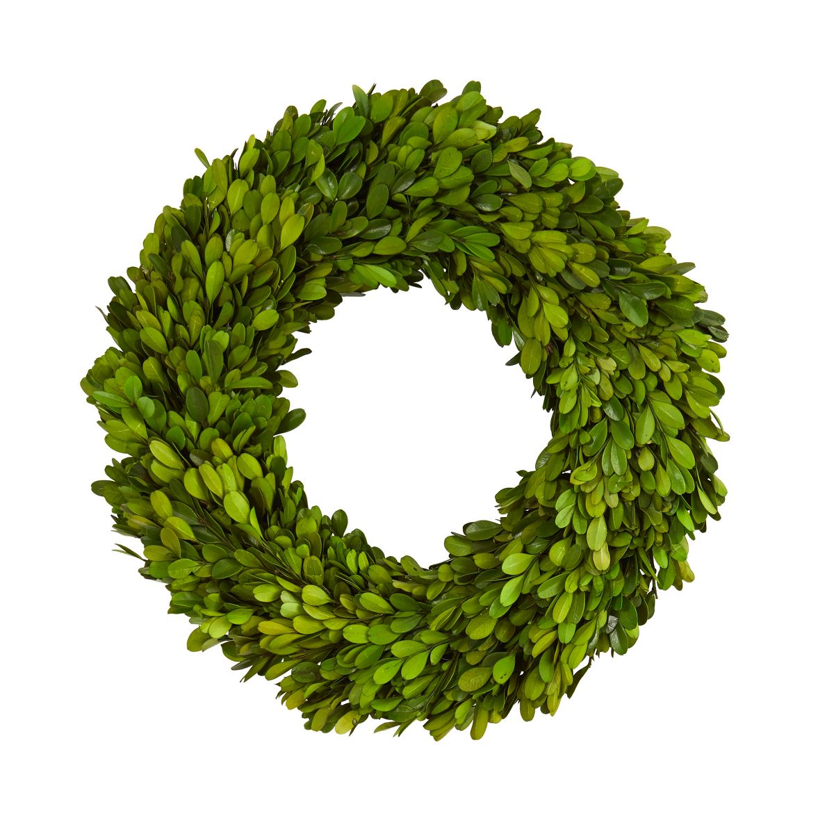 Nearly Natural 14-in Preserved Boxwood Wreath