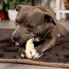 Pet Factory CareChewz Collagen Twist Keys - 6-7", 6 Count - 4 of 4