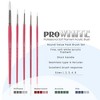 Creative Mark Pro White Soft Filament Acrylic Paint Brushes - Assorted Round Set of 5 - Seamless Ferrule - Short Wood Handle Brushes for Acrylic - 2 of 4