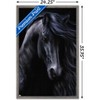 Trends International Laurie Prindle - The Black Framed Wall Poster Prints - 3 of 4