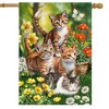 Briarwood Lane Spring House Flag 40x28 For Outdoor Kittens in Garden For Spring House Flag - 2 of 4