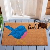 Hello Bird Coir DMTS239 Hand Tufted Indoor/Outdoor Door Mat - Natural - 1'-11" x 3' - Safavieh - 2 of 2