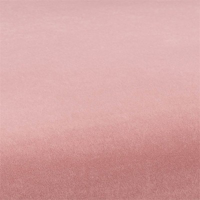 Blush Velvet Upholstered Dining Chair with Gold X-Base