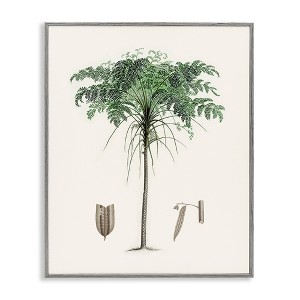 Stupell Industries Vintage Palm Tree Study Framed Giclee Art, Gray, 11" x 14" - 1 of 4