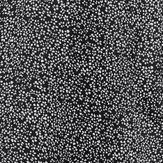 white flower on black