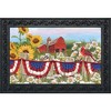 Briarwood Lane Doormat 30x18 Indoor Outdoor America the Beautiful Summer For Summer Doormat - 2 of 4