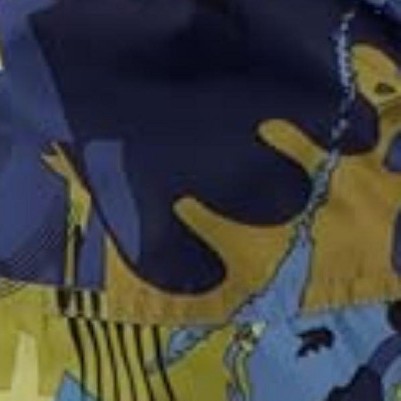 navy print