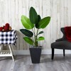 Nearly Natural 52-in Travelers Palm Artificial Tree in Slate Planter - 3 of 3
