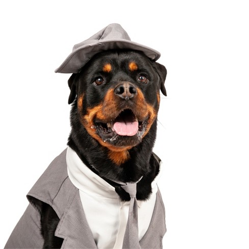 Dog best sale tuxedo outfit